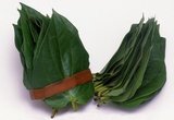 The Betel (Piper betle) is the leaf of a vine belonging to the Piperaceae family, which includes pepper and Kava. It is valued both as a mild stimulant and for its medicinal properties.<br/><br/>

Betel leaf is mostly consumed in Asia, and elsewhere in the world by some Asian emigrants, as betel quid or paan, with or without tobacco, in an addictive psycho-stimulating and euphoria-inducing formulation with adverse health effects.<br/><br/>

Chewing areca nut is an increasingly rare custom in the modern world. Yet once, not so long ago, areca nut – taken with the leaf of the betel tree and lime paste – was widely consumed throughout South and Southeast Asia by people of all social classes, and was considered an essential part of daily life.